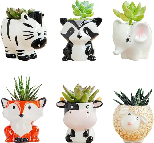 DIYOMR Bonita maceta de cerámica de animales, maceta pequeña para suculentas, maceta con forma de dibujos animados para plantas pequeñas, cactus de