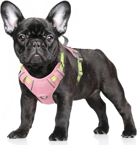 Miniatura 84 de BARKBAY Arnés para Perro Sin Tirones Talla Grande Arnés Reflectante para Perro con Clip Frontal y Asa de Control Fácil para Caminar Entrenar Correr
