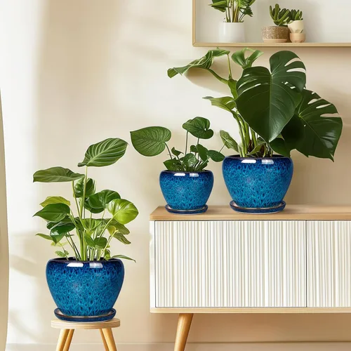 Miniatura 9 de Maceta de Cerámica Moderna con Esmalte para Suculentas con Agujero de Drenaje y Platillo, Maceta Redonda de 6 Pulgadas para Plantas de Flores