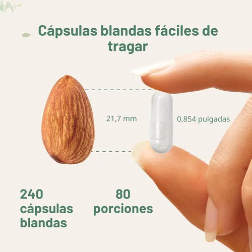 Miniatura 5 de Micro Ingredients Píldoras de colágeno múltiple para mujeres y hombres, 240 cápsulas Tipo I, II, III, V, X Péptidos proteicos hidrolizados