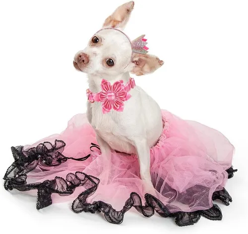Miniatura 7 de Collar de perro Lionheart Glory, collar de perro rosa con flor, lindo collar para mascotas con patrón floral ajustable para perros pequeños Rosado