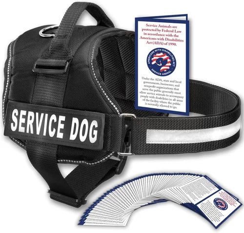 Miniatura 36 de Arnés Industrial Puppy para perros con correas y asa, y chaleco con parche reflectante, en un cómodo diseño de malla, Bright Red 2-Rojo Brillante