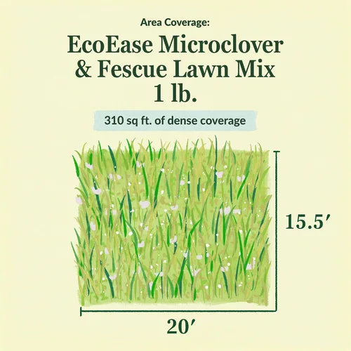 Miniatura 6 de Ferry-Morse EcoEase Microclover y Festuca Mezcla de Semillas de Césped de Cobertura de Suelo de Bajo Mantenimiento, 1 libra