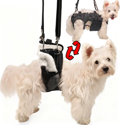 Arnés doble uso para perro SyFatWeen con soporte para las patas traseras y cadera, cabestrillo canino para elevación de perro, ajustable y suave,