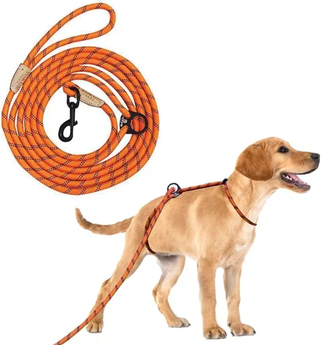 Miniatura 8 de Correa larga de 12 pies para perro, sin tirones, sin estrangulamiento, antitirones, para caminar, doble gancho y a prueba de escapes para todas