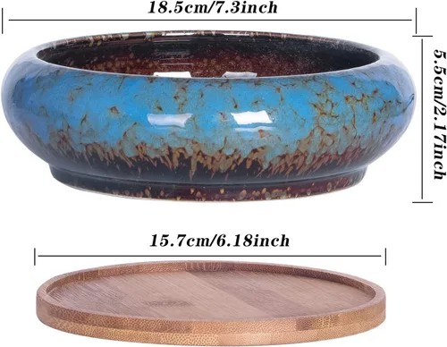 Miniatura 3 de ARTKETTY Macetas para suculentas de 7.3 pulgadas con drenaje, paquete de 2, macetas poco profundas para bonsái con bandeja de cerámica para plantas