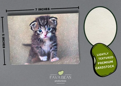 Miniatura 3 de Adorable tarjeta de felicitación de gatito gris (5 x 7 pulgadas) con sobre. En blanco con bonita imagen de gato en el interior. Perfecta