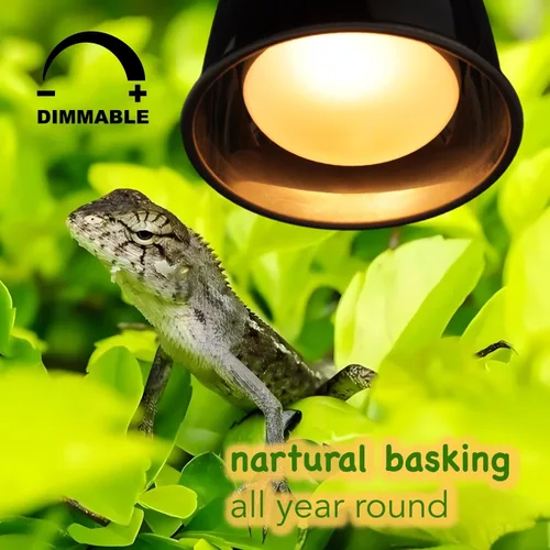 Miniatura 3 de Paquete de 2 bombillas de calor para reptiles de 75 W, bombillas de calor UVA para dragones barbudos, tortugas, serpientes, lagartos y anfibios