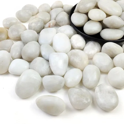 Rocas blancas de río de 20 libras, guijarros pulidos de 1-2.2 pulgadas para plantas, piedras decorativas para paisajismo. Suculentas, manualidades,