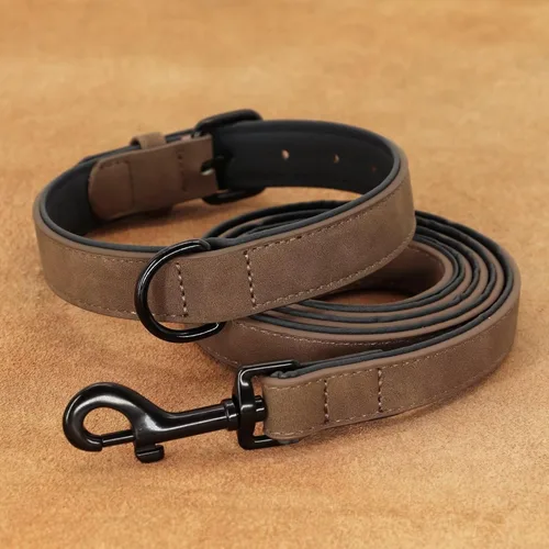 Miniatura 7 de Didog Juego de collar y correa de cuero acolchado suave para perro, correa ajustable y collar con hebilla de metal, collares transpirables