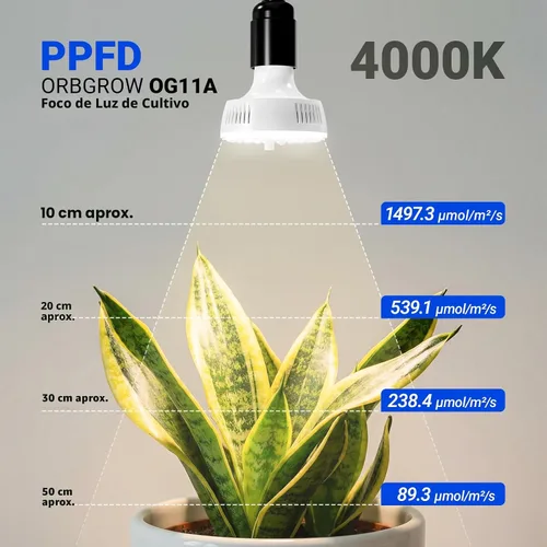 Miniatura 5 de Barrina Orbgrow OG11A2 - Luces de cultivo con clip para plantas de interior, atenuación y sincronización continuas integradas, 4000 K 22 W