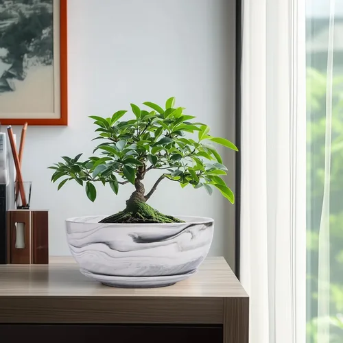 Miniatura 4 de G EPGardening Macetas Bonsai, Maceta de Cerámica de 8 Pulgadas con Patrón de Mármol y Orificio de Drenaje y Platillo para Plantas, Maceta Grande