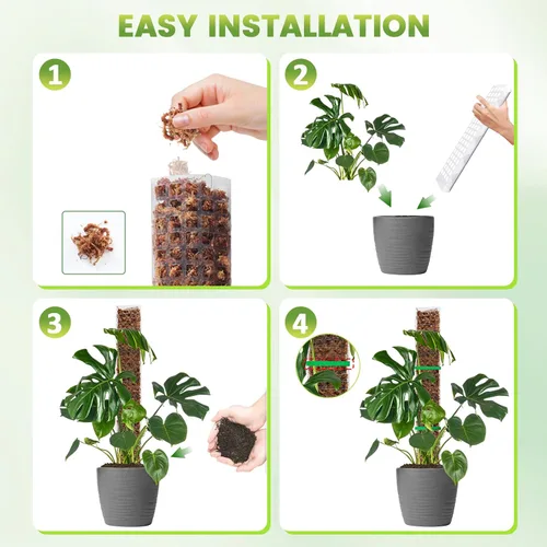 Miniatura 5 de EOX 6 Piezas Postes de Musgo de Plástico de 24 Pulgadas para Monstera, Postes Grandes en Forma de D para Plantas Trepadoras que Funcionan con Musgo