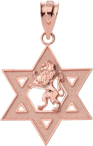 Miniatura 5 de Colgante hebreo certificado de oro de 14 k Israel León de Judá Magen David Star Hebreo