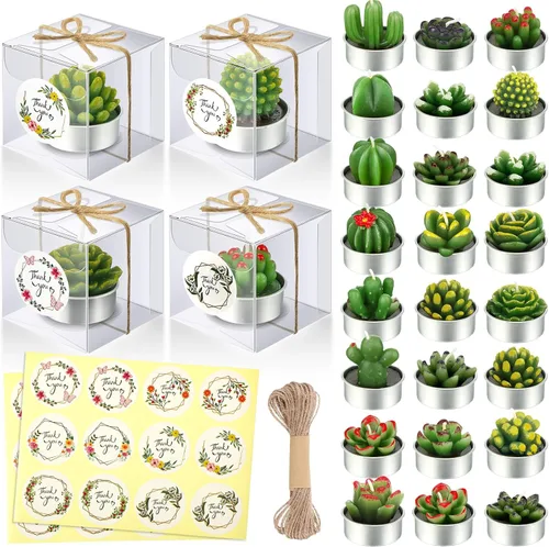 MTLEE Juego de 24 velas de cactus para regalo, delicadas velas de cactus suculentas, mini plantas, recuerdo de fiesta para el día de San Valentín,