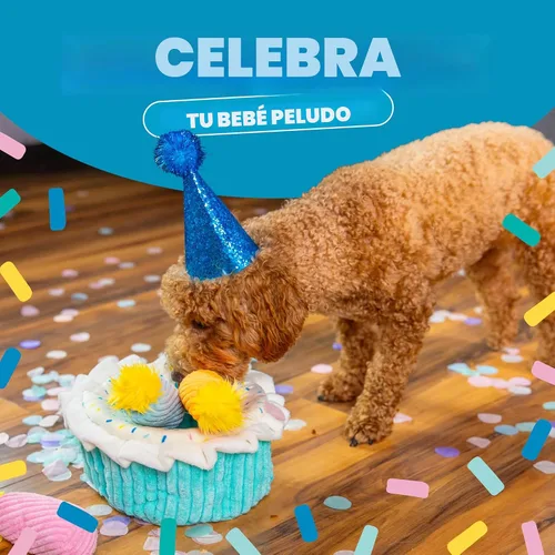 Miniatura 4 de Outward Hound Hide A Birthday Cake, rompecabezas de peluche con temática de cumpleaños para perros