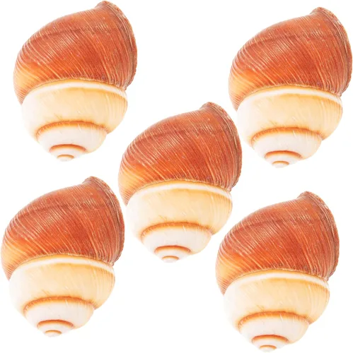 Hemobllo 5 unidades de caracol natural Escargot para hornear diseño de aislamiento térmico para restaurantes, uso doméstico, seguro para horno,