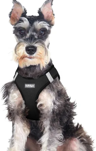 Miniatura 127 de rabbitgoo Arnés para perro pequeño, chaleco de malla suave para cachorros con hebilla de seguridad, arnés reflectante transpirable para mascotas