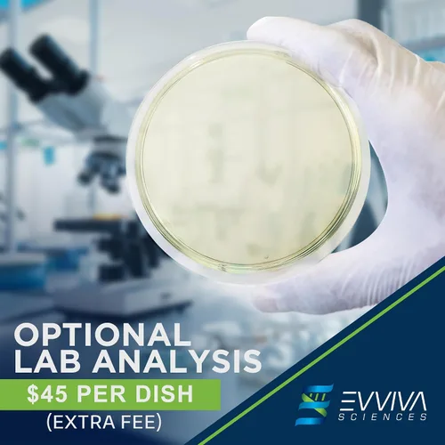 Miniatura 2 de Evviva Sciences - Kit de prueba de moho para el hogar, 5 pruebas de detección simples con análisis de laboratorio opcional (tarifa adicional)