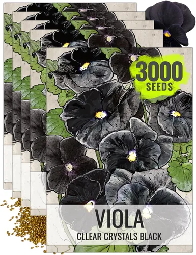 Miniatura 7 de Seed Needs Johnny Jump Up Semillas para plantar violas, reliquia y flores polinizadas abiertas para plantar un jardín de mariposas lleno de flores