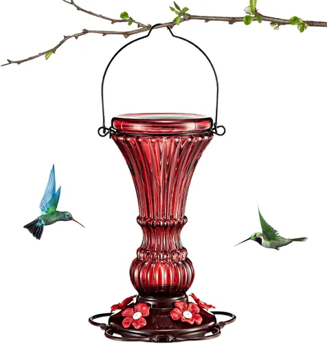 Comedero de vidrio para colibríes, alimentador de néctar de pájaros salvajes rojos para colgar al aire libre, a prueba de fugas, 20 onzas con 5