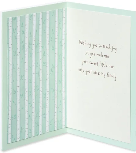 Miniatura 2 de American Greetings Nueva tarjeta de bebé (tu increíble familia)