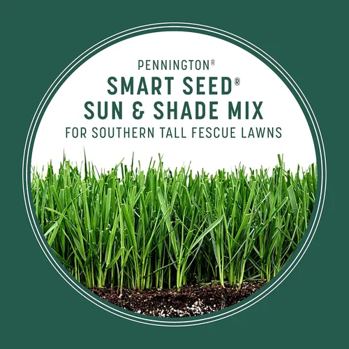 Miniatura 6 de Pennington Smart Seed Sun and Shade - Mezcla de semillas de césped alto para césped del sur, 7 libras