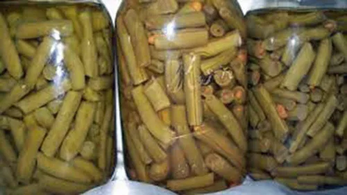 Miniatura 3 de Frijol, arbusto de cosecha superior, reliquia, 100 semillas, gran sabor fresco o cocido