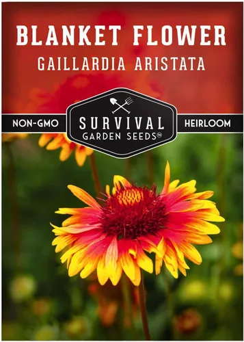 Survival Garden Seeds - Semillas de flores para plantar - Paquete con instrucciones para plantar y cultivar Gaillardia Pulchella en el huerto de tu
