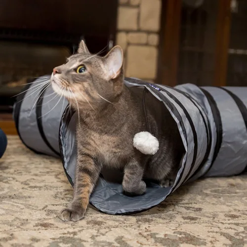 Miniatura 9 de PetLike Túnel para gatos (con juguete interactivo para gatos y juguete de hierba gatera) para gatos de interior, tubo plegable para mascotas, gris