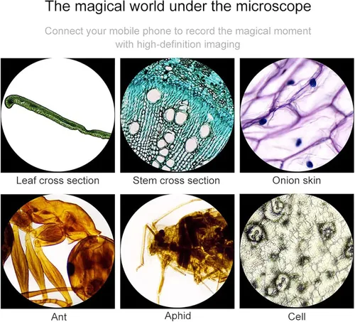 Miniatura 2 de Microscopios compuestos 6000X /10000 X /15000X / 20000X, microscopio biológico binocular, con soporte para teléfono móvil, se puede conectar a una