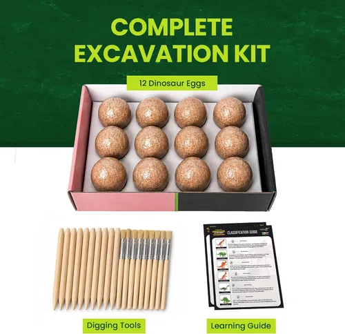 Miniatura 4 de Nature Gear Kit de excavación de dinosaurios para niños, kit de excavación de huevos de dinosaurio, kit educativo de excavación de huevos con 12