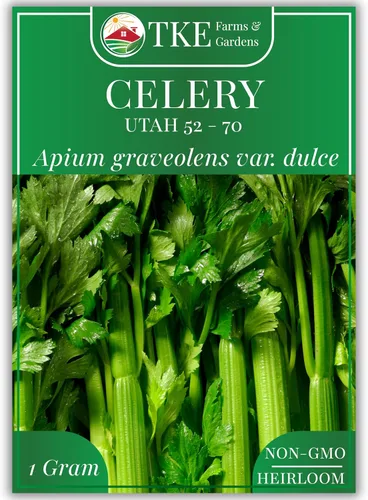 TKE Farms & Gardens - Semillas de apio Utah 52-70 para plantar, reliquia, sin OMG, más de 2500 semillas, paquete de 0.04 oz, ideal para huertos de