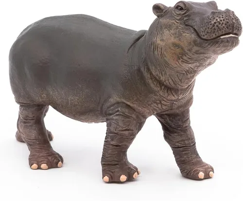 Miniatura 3 de Papo - Figura realista de hipopótamo bebé - A partir de 3 años - Colección Wild Life - Juego educativo de animales jóvenes - Juguete de idea