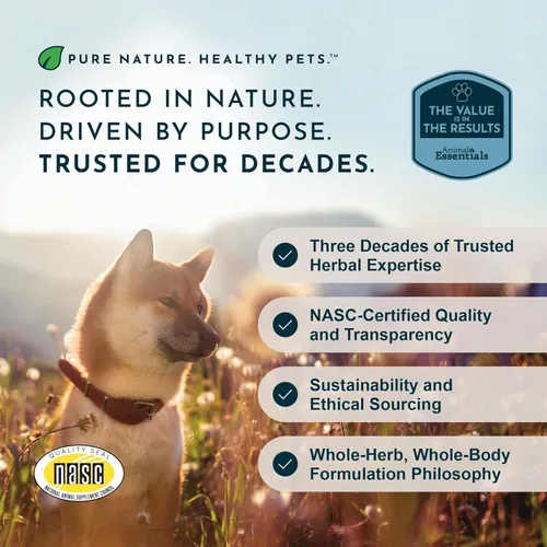 Miniatura 8 de Animal Essentials Colon Rescue - Fórmula de hierbas para perros y gatos, tracto gastrointestinal saludable, sabor dulce, hierbas 100% orgánicas