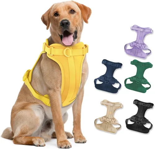 Miniatura 17 de Arnés ligero para perro sin tirones: arnés ajustable y duradero de malla transpirable con cojín suave y cómodo, para perros pequeños, medianos y Lila