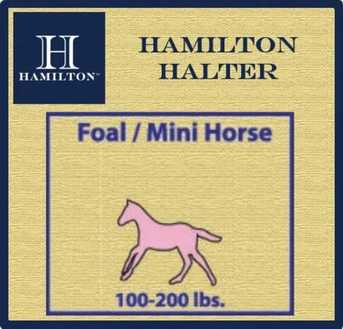 Miniatura 3 de Hamilton Caballo de lujo Halter, nailon de triple capa de 3/4 pulgadas con correa ajustable para la barbilla, potro o mini caballo, 100-200 libras