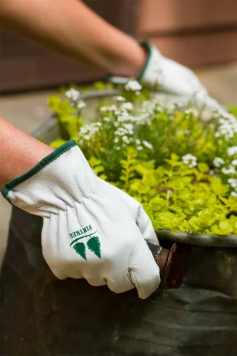 Miniatura 8 de FirTree Brand Goatskin Utility - Guantes de cuero para mujer y hombre para trabajo en el patio exterior, jardinería y paisajismo. Tabla de tallas
