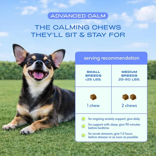 Miniatura 10 de Native Pet Masticables calmantes avanzados para perros de razas pequeñas, alivio de la ansiedad, estrés, separación, viajes y apoyo para dormir