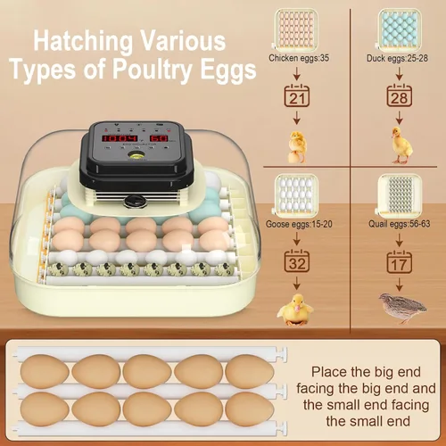 Miniatura 4 de CoInceptus 35 incubadoras de huevos para incubar huevos, incubadora de huevos con giro automático de huevos y control de humedad, incubadora