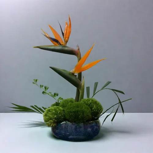 Miniatura 5 de Water Lotus - Juego de maceta de tazón de compota japonesa con rana floral de 1.8 pulgadas, ideal para Ikebana, arreglo floral y plantación Azul