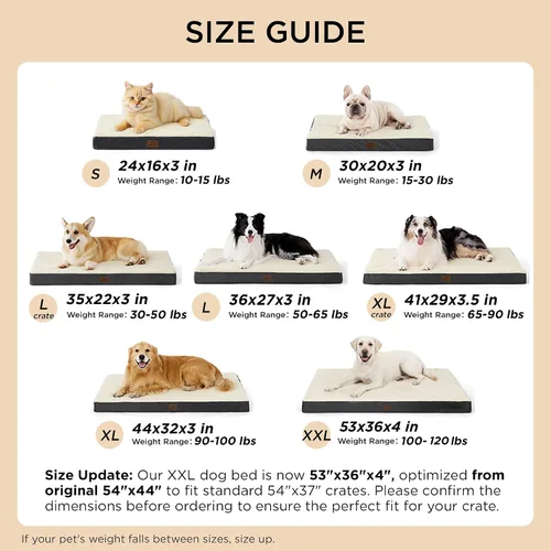 Miniatura 7 de Bedsure Camas para Perros Tamaño Grande - Cómodas Camas Planas para Mascotas con Funda Lavable Extraíble, Alfombrilla de Espuma Ortopédica