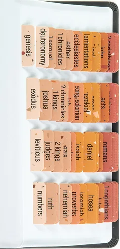 Miniatura 12 de Pestañas para la Biblia laminadas DiverseBee con resúmenes de libros (impresión grande, fácil de leer), pestañas personalizadas para diario bíblico