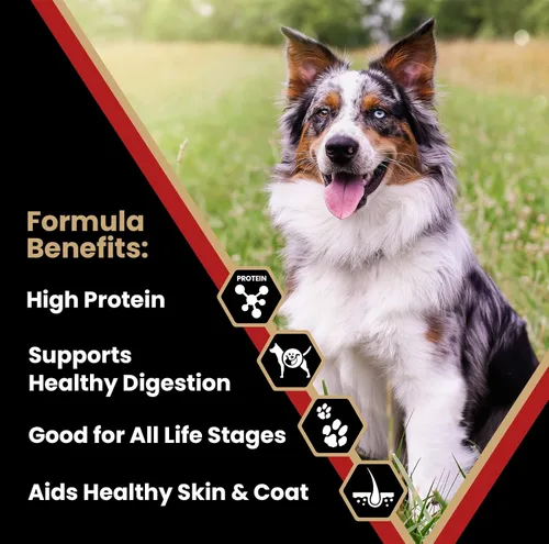 Miniatura 2 de VICTOR Alimento súper premium para perros – Purpose Nutra Pro – Sin gluten, croquetas secas altas en proteínas y bajas en carbohidratos para perros