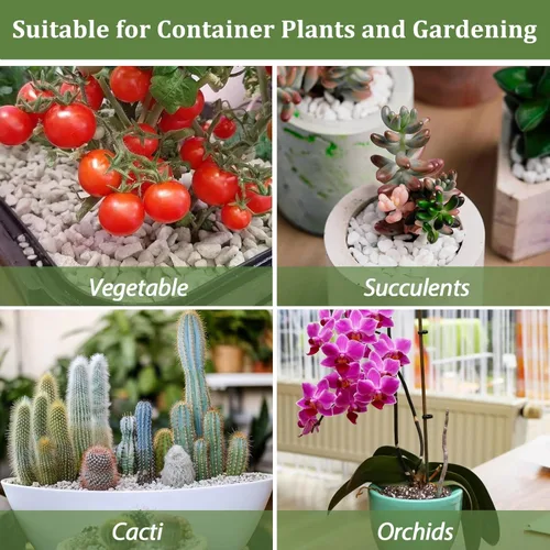 Miniatura 6 de Riare Perlita orgánica de 2 cuartos de galón para plantas, enmienda de suelo de perlita hortícola para plantas, mezcla de macetas, acondicionador