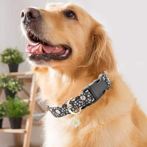Miniatura 4 de 2 collares de algodón suave para perro, 3 tamaños, de nailon suave, ajustable, para hembras, perros pequeños, medianos y grandes (flor-4, M