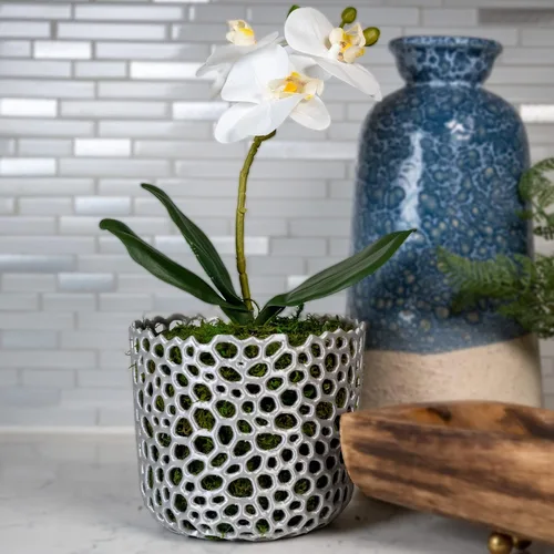 Miniatura 5 de Maceta cilíndrica de malla para orquídeas, maceta de orquídea, maceta de orquídea, maceta de orquídeas, maceta para plantas de aire, maceta