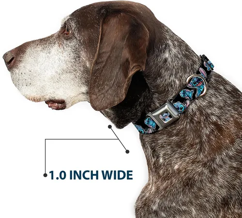 Miniatura 6 de Buckle-Down Collar de perro con hebilla de cinturón de seguridad, posturas de puntada/hibisco boceto negro/gris/azul, 1 pulgada de ancho, se adapta