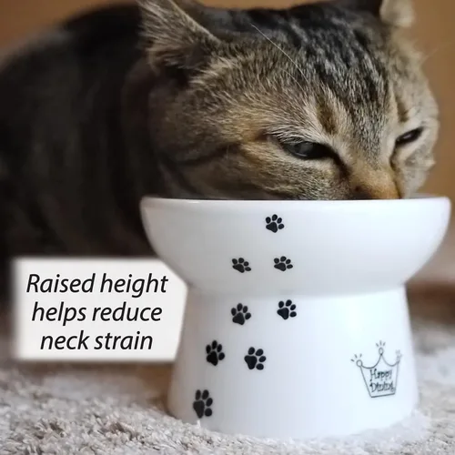 Miniatura 2 de Necoichi Cuenco elevado para comida y agua para gatos, cuencos elevados de cerámica para fatiga de bigotes y cuello, apto para lavavajillas