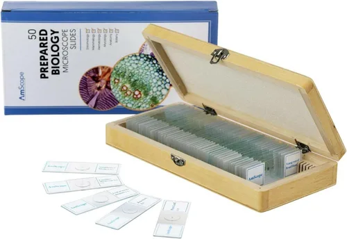 Miniatura 2 de Microscopio AmScope PS50 preparado portaobjetos de set para Biológica Básica Ciencia Educación, 50 Diapositivas, incluye carcasa ajustable de madera